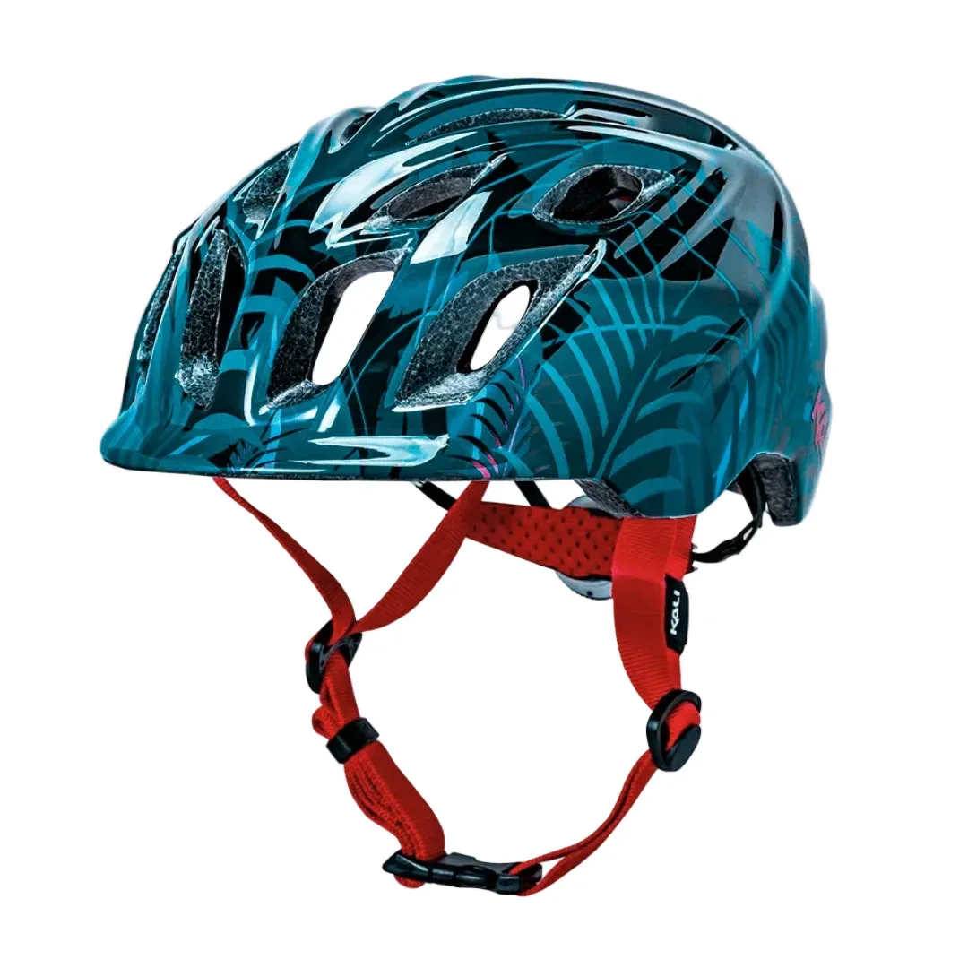 תמונה ממוזערת 1