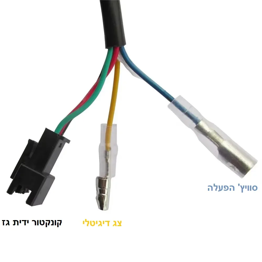 תמונה ממוזערת 3